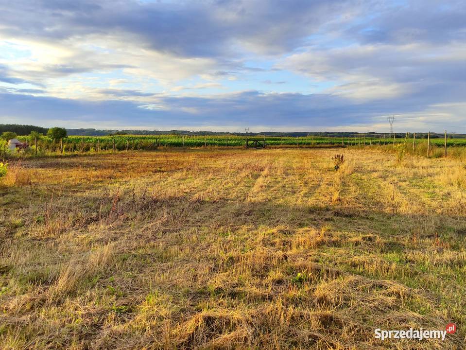 Działka budowlana 21a Gorzów Wlkp wszystkie woda Sprzedaż Gorzów Wielkopolski sprzedam