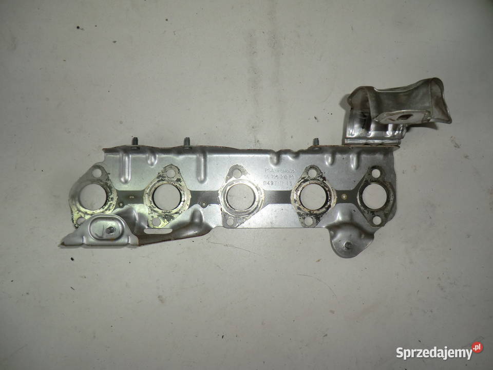 Ford Uszczelka kolektora wydechowego osłona Pozostałe Krzeszowice