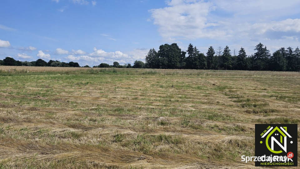 Działka Kamień Pomorski 1500m2 Sprzedaż sprzedam