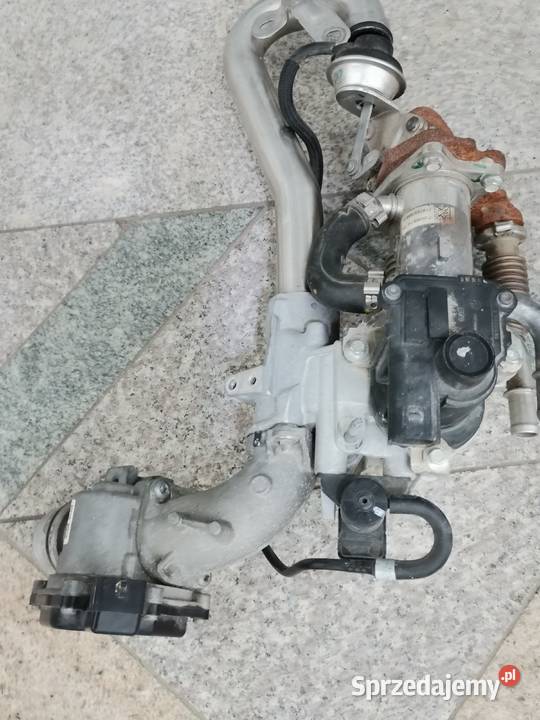 EGR Renault kango Białystok