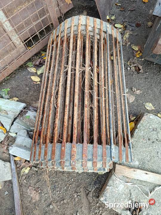 Taśma dolna odsiewacz ANNA Z644 łódzkie Rawa Mazowiecka