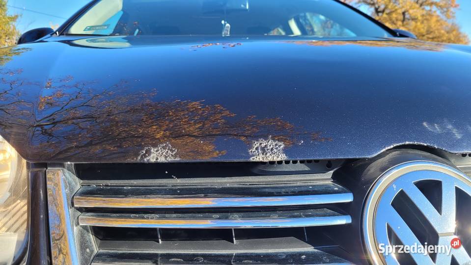 Samochód Volkswagen golf 5 2008 Tychy