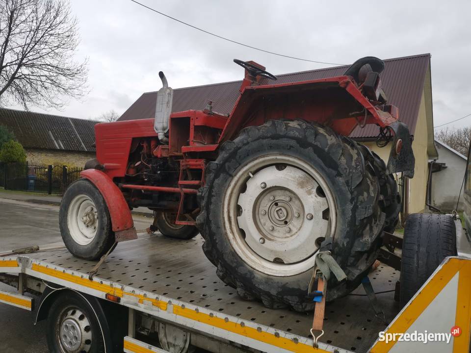 Władimirec T25 Opatkowice Drewniane