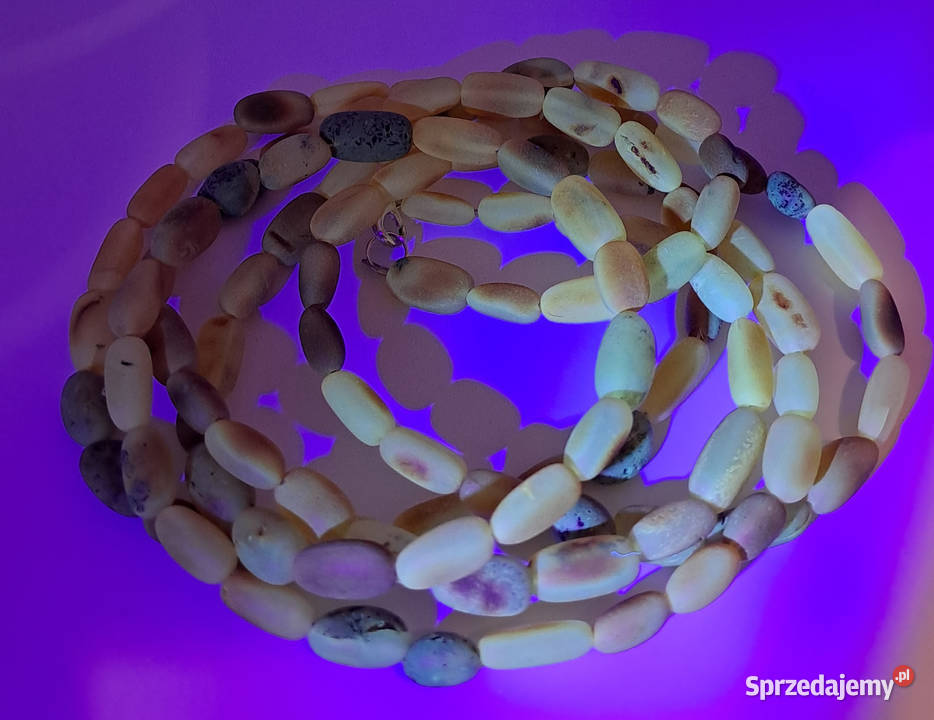 Korale z bursztynu BURSZTYN fasolka matowa Warszawa