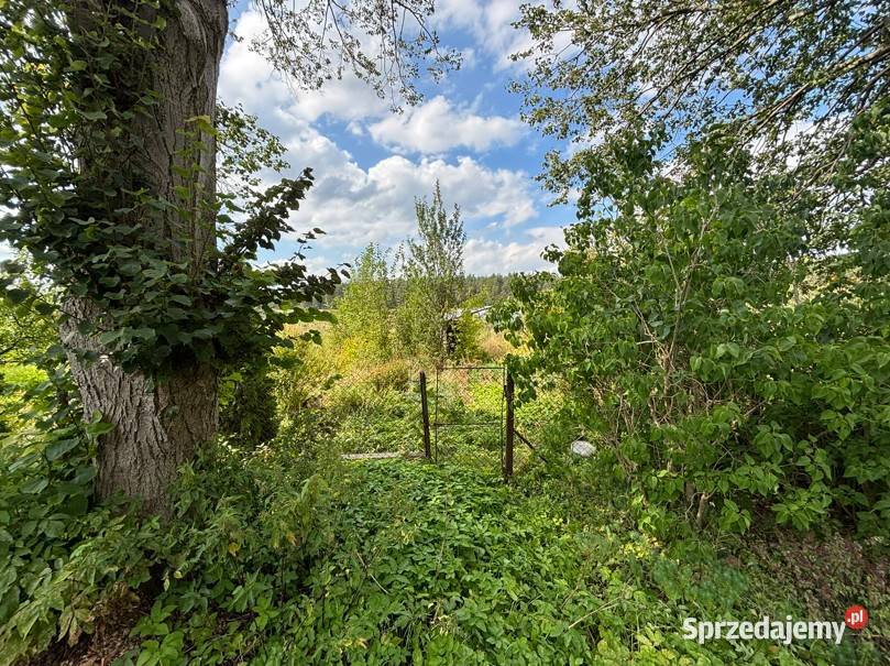 Ogródek działkowy 500 m2 w Trynosach 20 000 58m
