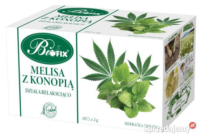 Bifix herbata morwa biała ostropest plamisty Stare Miasto