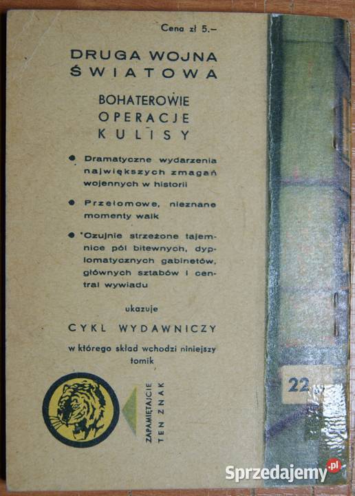 Żółty Tygrys Kokino kłamie 2267 Parczew