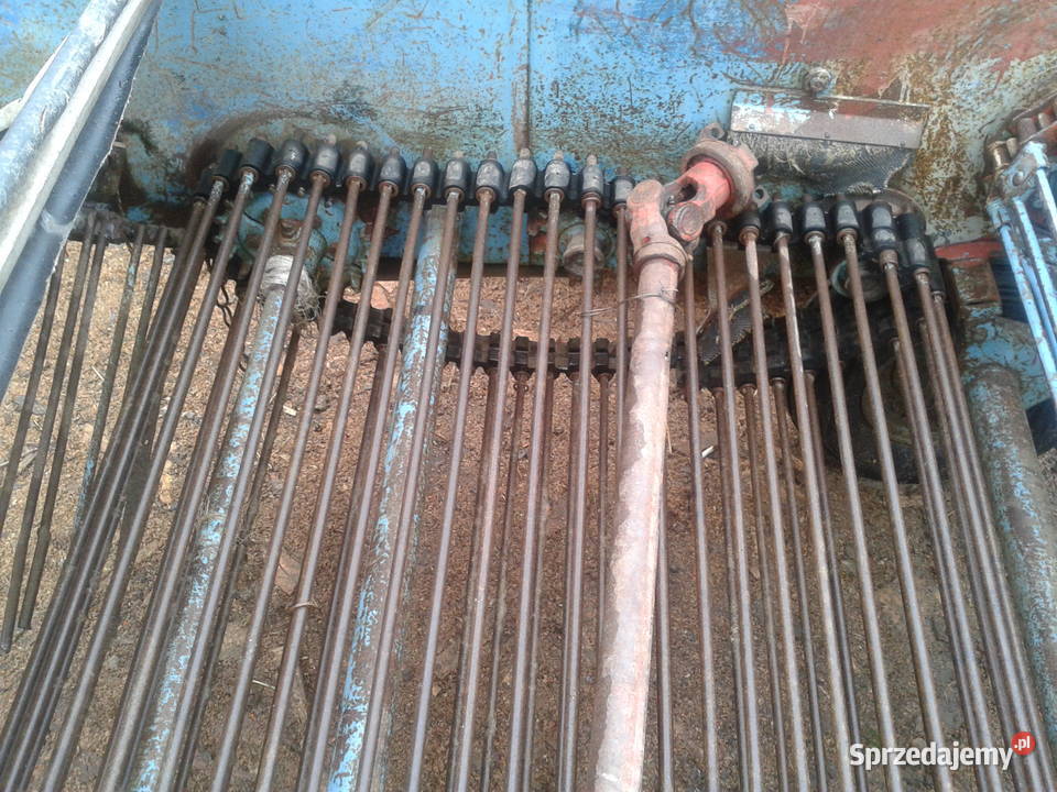 kopaczka do ziemniaków elewatorowa Nowa Słupia