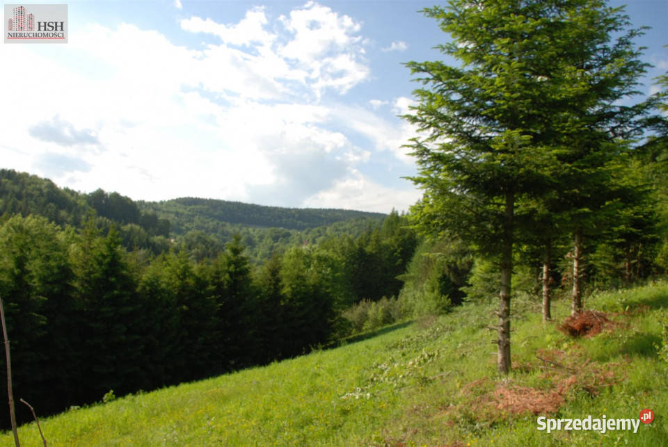 Do sprzedaży działka 14000m2 Żarnówka