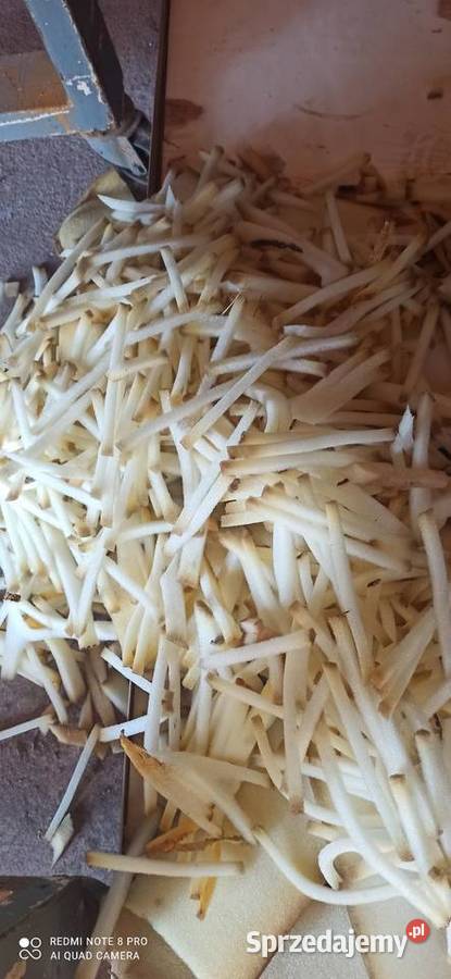 Kruszarka Niszczarka do dokumentów Gąbka Trzebinia
