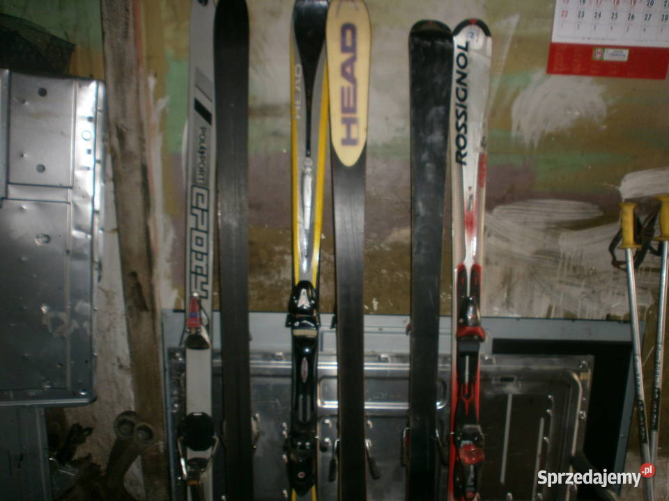 narty kijki elan rossignol polsport Gdańsk