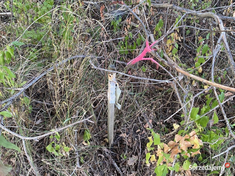 Działka budowlana w spokojnej okolicy Siestrzeń