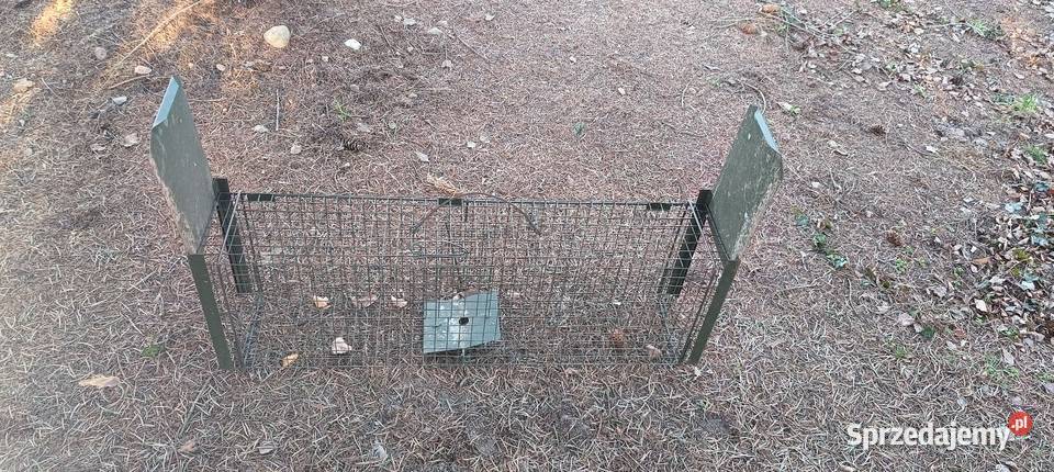 Żywołapka na gryzonie łódzkie Łódź