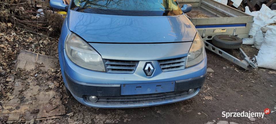Renault Scenic 2 na śrubki części Siemianowice Śląskie