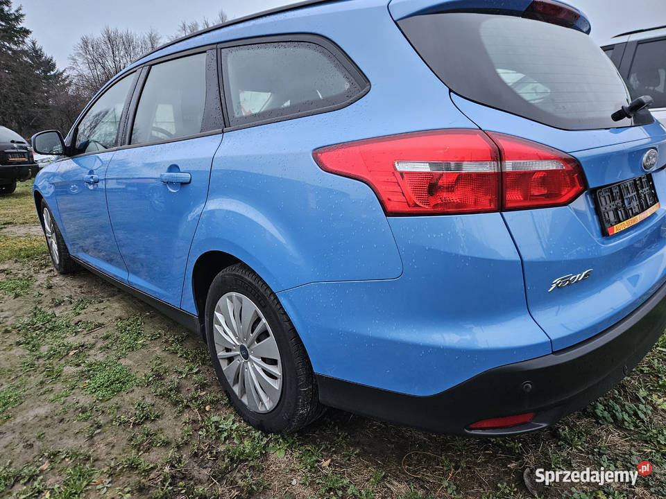 Ford Focus benzynka klima 2016r Focus Lublin