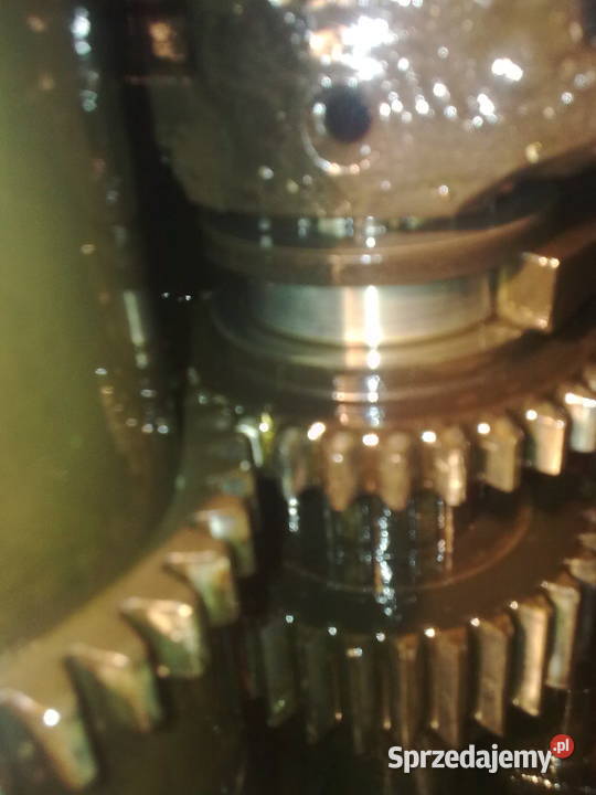 Koło zębate do gitary TUj 50 Kraków