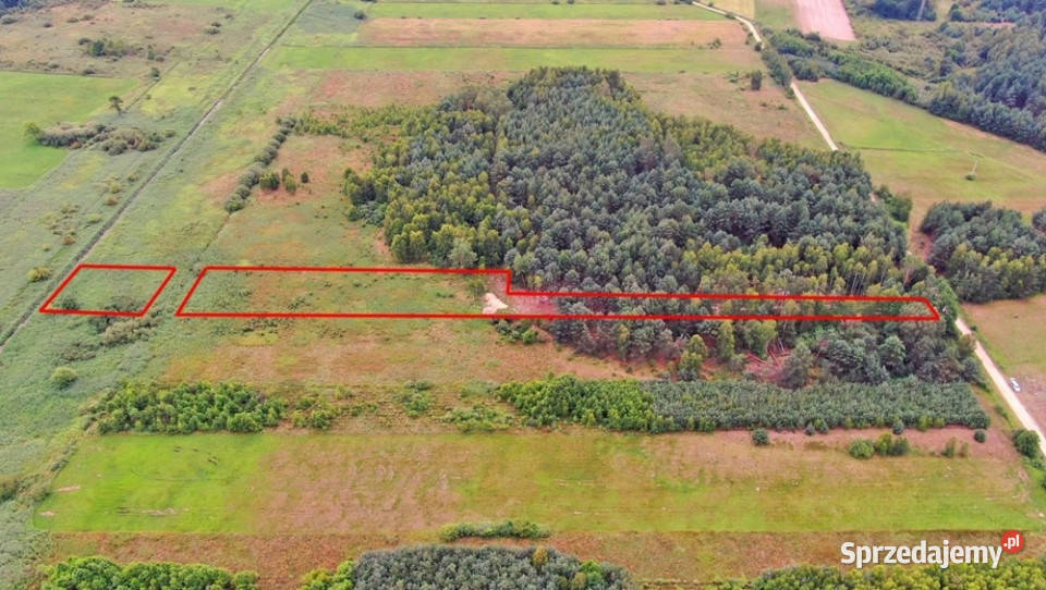 Dwie działki rolne Rudniki k Koniecpola Kuźnica Wąsowska sprzedam