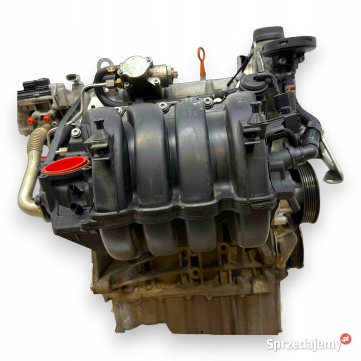 SILNIK BLF Audi A3 II 8P Skoda Octavia II 16 FSI lubelskie Chełm