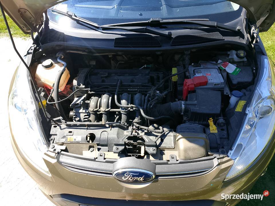 Sprzedam ford fiesta Międzyrzec Podlaski