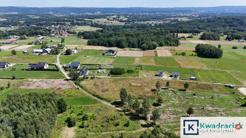 sprzedaży działki Orzechówka 1300m2 1300m2 podkarpackie