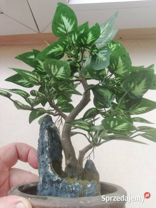 Drzewko sztuczne dekoracyjne mazowieckie Warszawa sprzedam