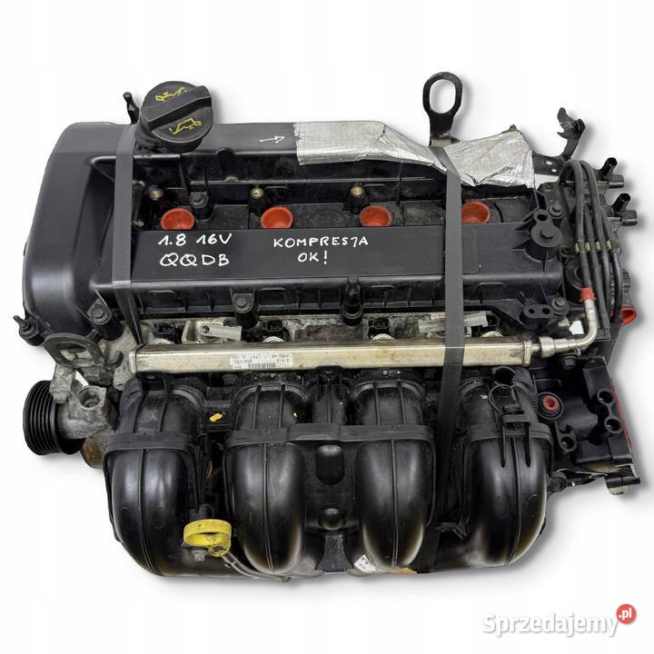 SILNIK Ford Focus II MK2 C C 18 16V 125 benzyna Chełm