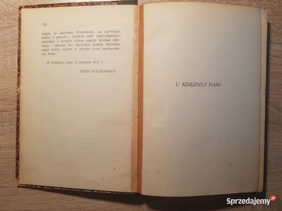 U księżnej pani 1922 r Stanisław Wasylewski literatura piękna - proza polska