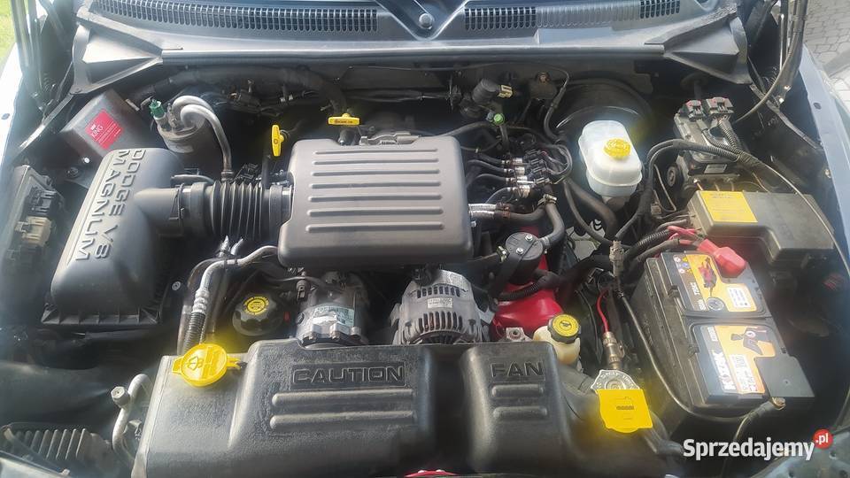 Dodge Dakota LPG Niegowić