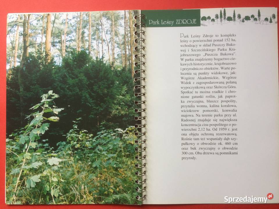 539 Puszcze Szczecińskie 2005 Szczecin