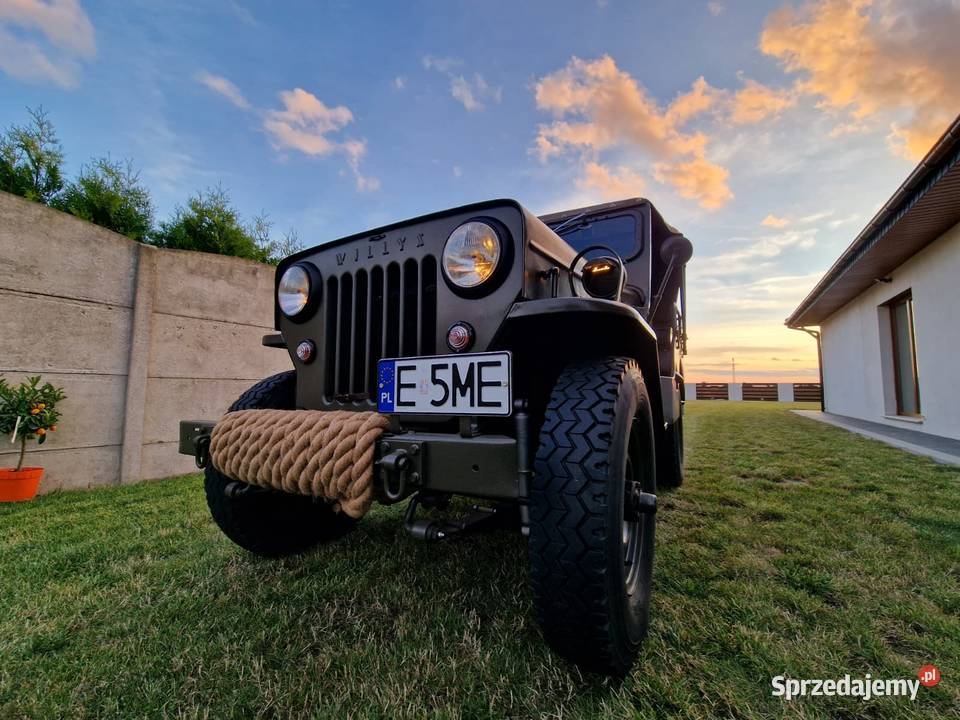 Jeep Willys CJ3B Wieluń