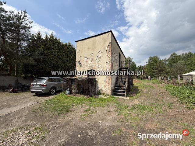Sprzedaż lokalu 260m2 Godów śląskie