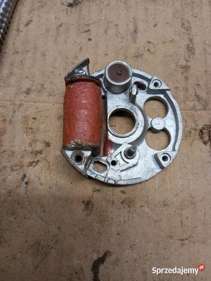 Iskrownik zak rys Sokołów Podlaski