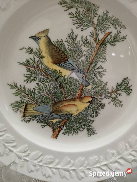 Talerz obiadowy birds America ilustra AUDUBONA Zamość