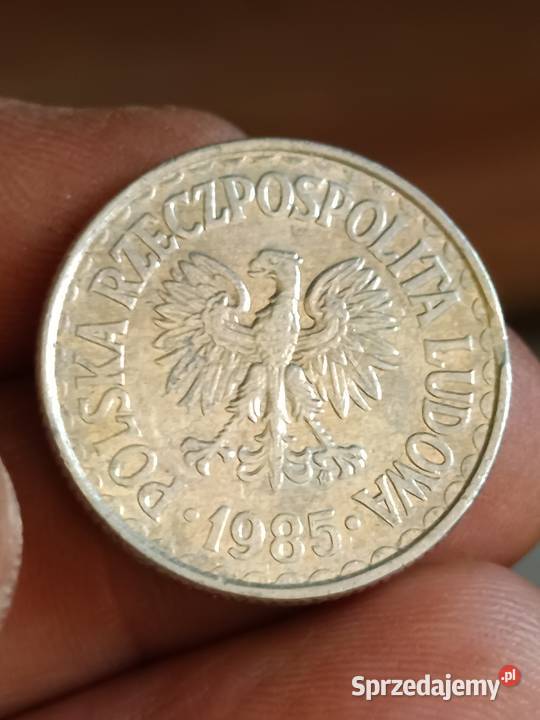 Sprzedam monete 1 zloty 1985 odkroj blachy yyy Chełm