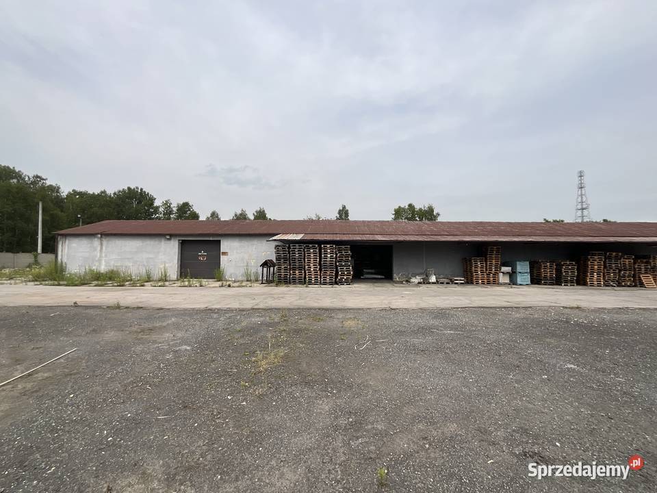 Syndyk sprzeda halę magazynową w Mysłowicach śląskie Mysłowice