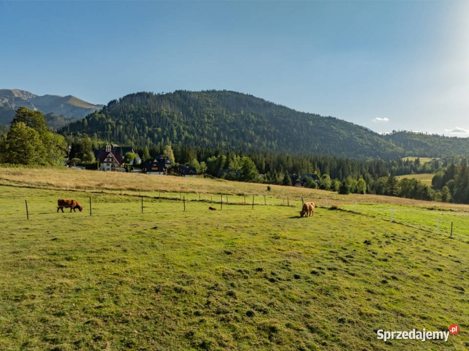 Działka rolna 3115 m Kościelisko
