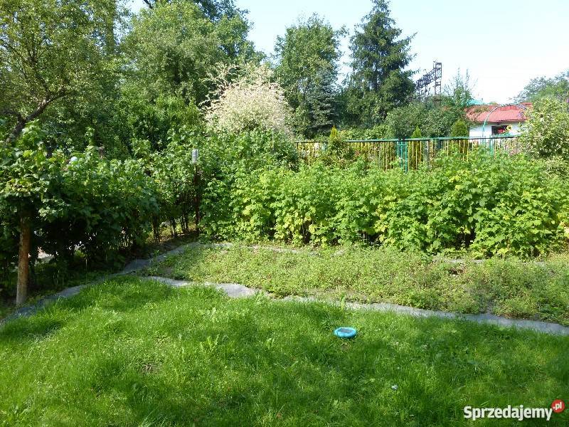 Dzialka ROD w centrum Krakowa zagospodarowana Kraków