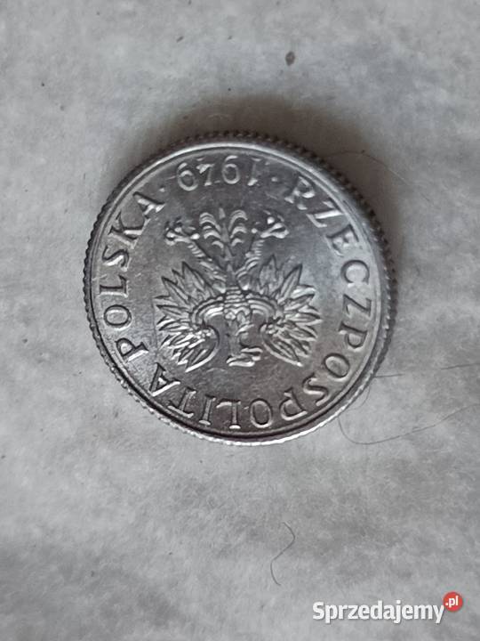 Sprzedam monetę 1 groszy 1949 Chełm