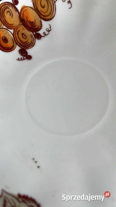 Mlecznik Łomonosowa pomorskie Gdańsk