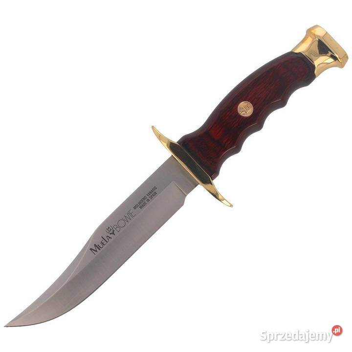 Nóż Muela BW14 Pakka Wood Satin X50CrMoV15 Warszawa