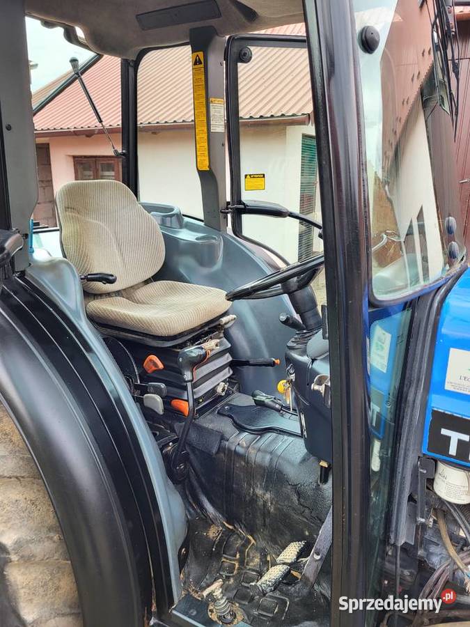 Holland sadownik Dąbrowica