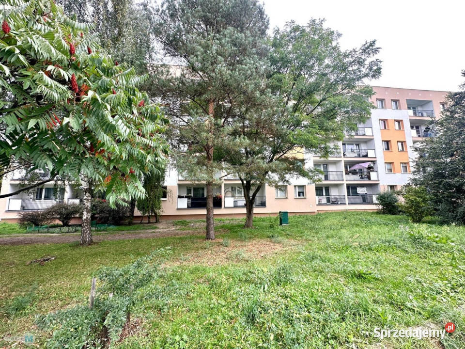 Mieszkanie 744m2 3pok Kielce Liczba pokoi 3