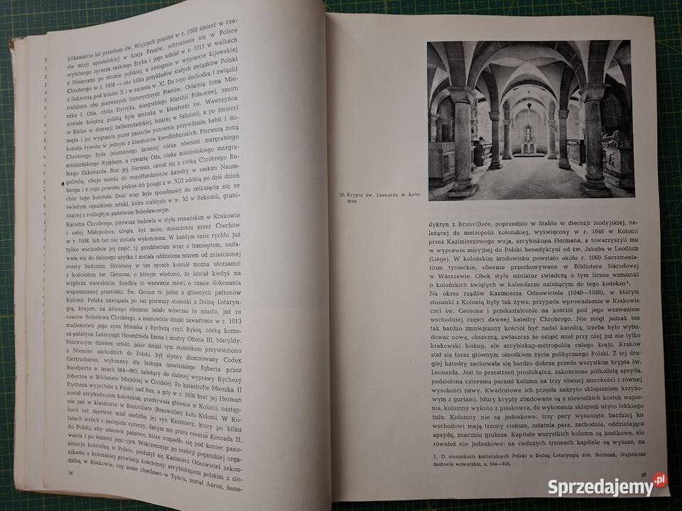 Kraków jego dzieje i sztuka Arkady małopolskie sprzedam
