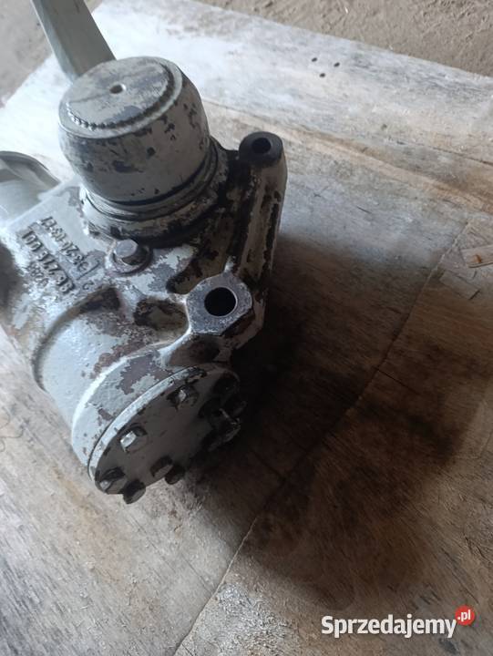 Półserwo wielkopolskie Komorowo