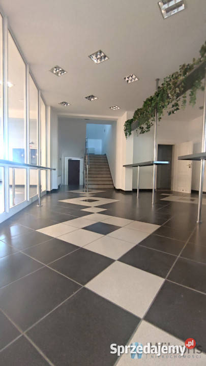 Lokal wynajmę 2800m2 Kajetany Nieruchomości