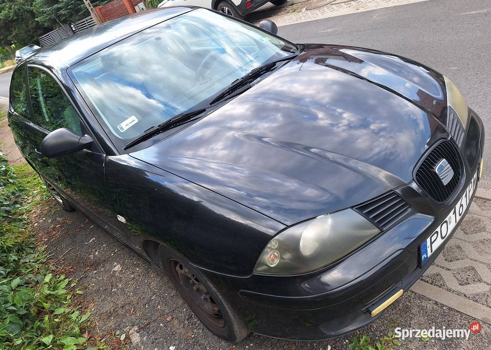 Seat Ibiza III 12 Benzyna Ibiza Poznań