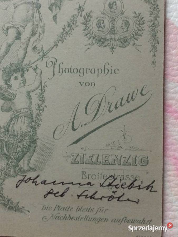 1237 SULĘCIN Niemieckie Zdjęcie Kartonikowe Szczecin