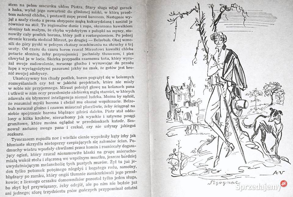 Kapitan Fracasse Teofil Gautier Chełm sprzedam