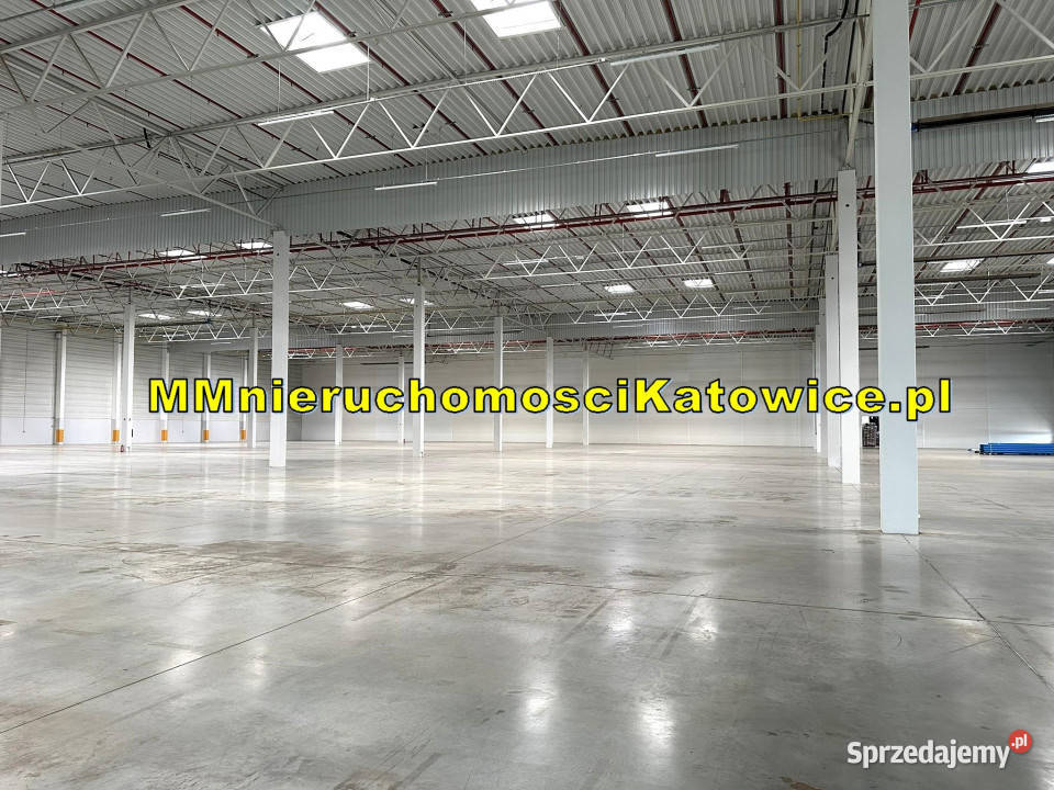 Hale do wynajęcia Ruda Śląska A4 plac biura
