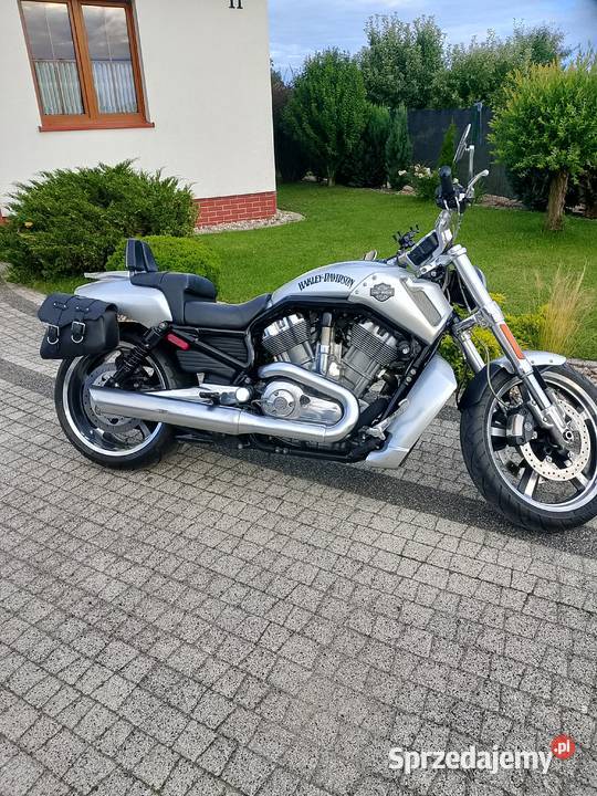 Harley Davidson Wołów